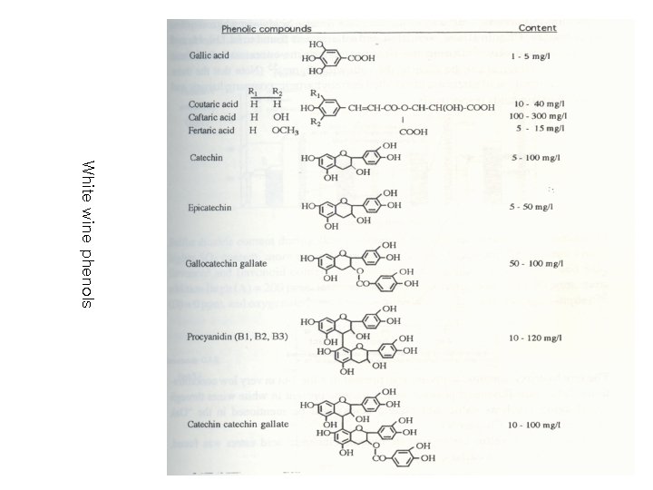 White wine phenols 