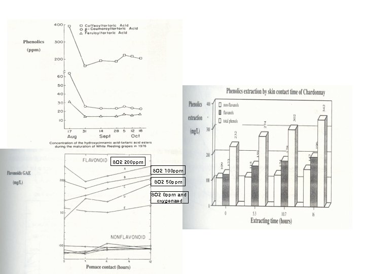 SO 2 200 ppm SO 2 100 ppm SO 2 50 ppm SO 2