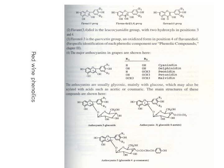 Red wine phenolics 