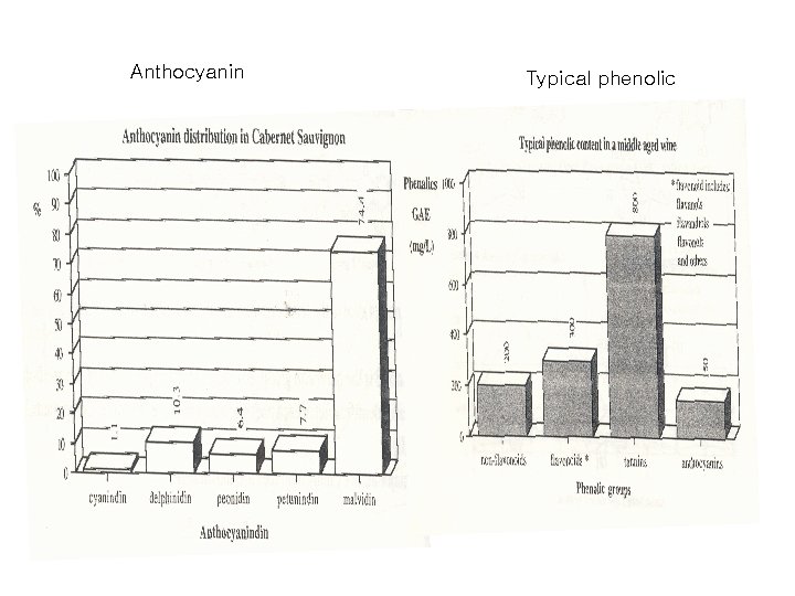 Anthocyanin Typical phenolic 