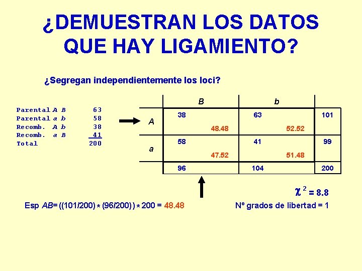 ¿DEMUESTRAN LOS DATOS QUE HAY LIGAMIENTO? ¿Segregan independientemente los loci? Parental Recomb. Total A