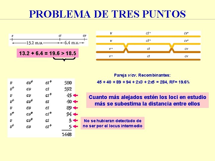 PROBLEMA DE TRES PUNTOS 13. 2 + 6. 4 = 19. 6 > 18.