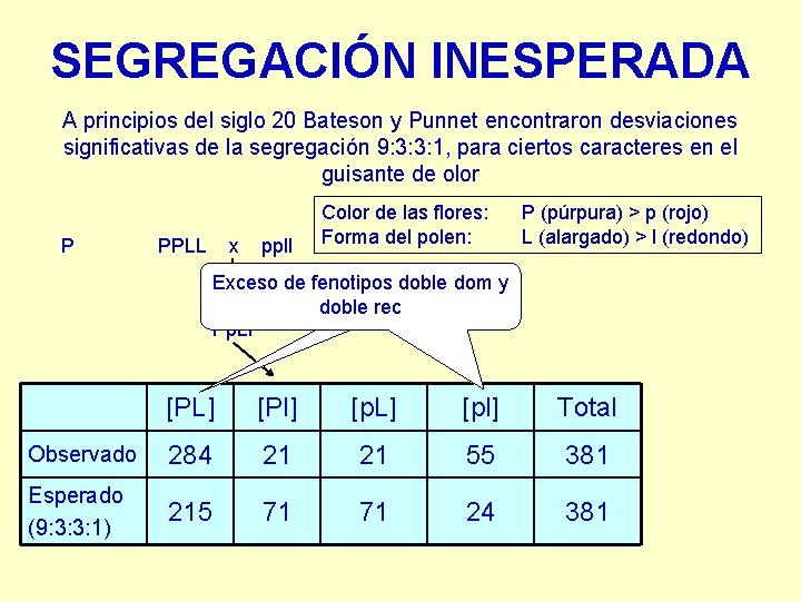 SEGREGACIÓN INESPERADA A principios del siglo 20 Bateson y Punnet encontraron desviaciones significativas de