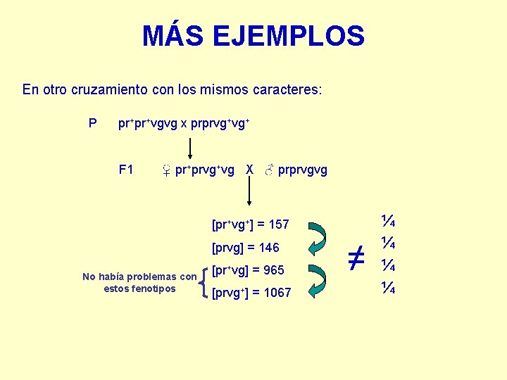 MÁS EJEMPLOS En otro cruzamiento con los mismos caracteres: P pr+pr+vgvg x prprvg+vg+ F