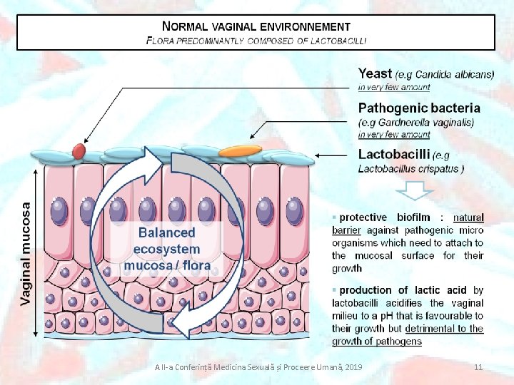 A II-a Conferință Medicina Sexuală și Proceere Umană, 2019 11 