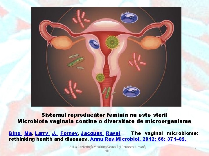 Sistemul reproducător feminin nu este steril Microbiota vaginala conține o diversitate de microorganisme Bing