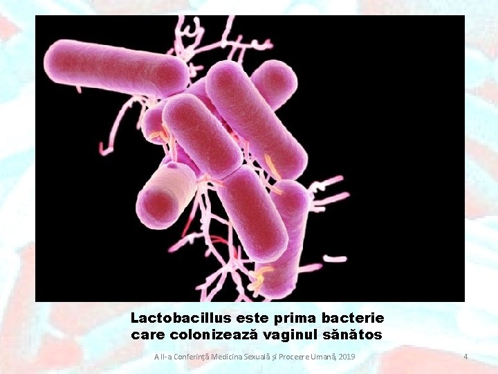 Lactobacillus este prima bacterie care colonizează vaginul sănătos A II-a Conferință Medicina Sexuală și