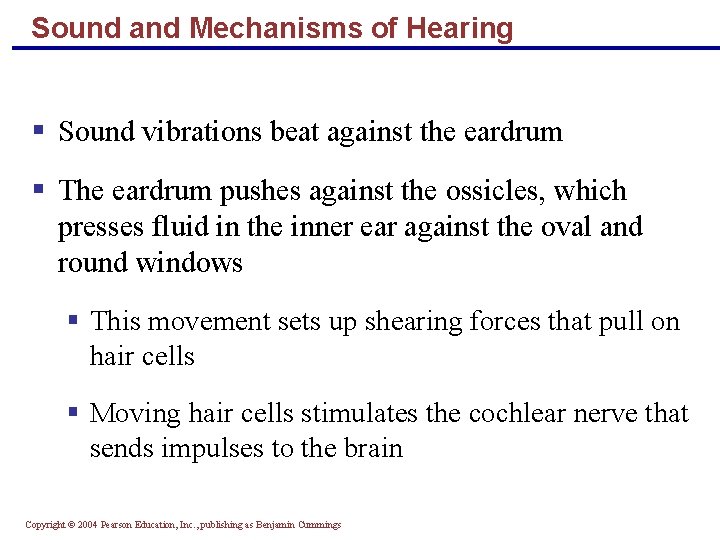 Sound and Mechanisms of Hearing § Sound vibrations beat against the eardrum § The