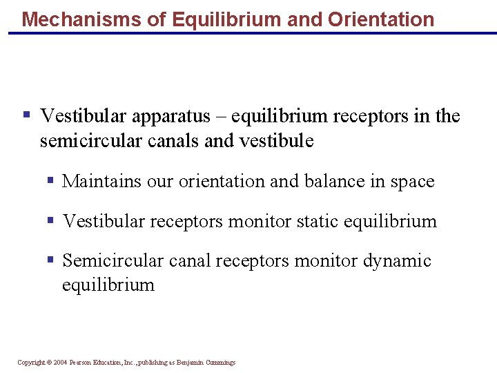 Mechanisms of Equilibrium and Orientation § Vestibular apparatus – equilibrium receptors in the semicircular