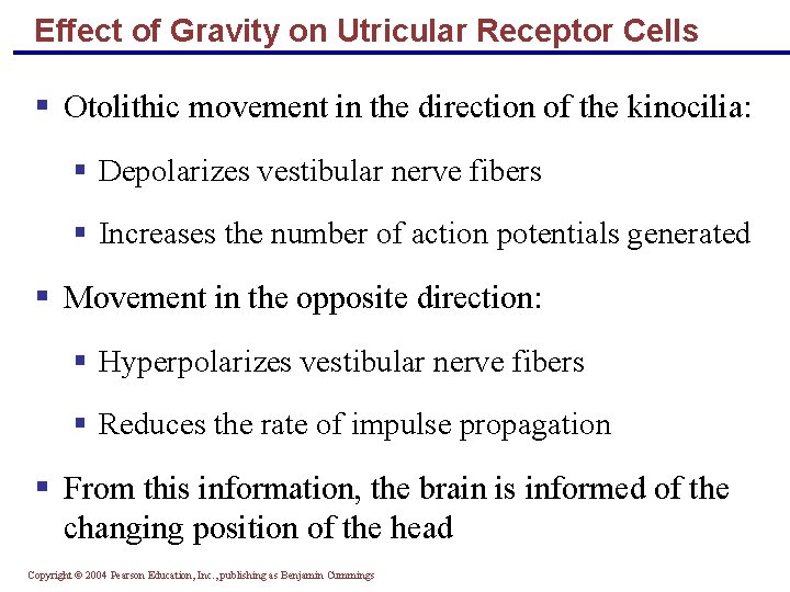 Effect of Gravity on Utricular Receptor Cells § Otolithic movement in the direction of