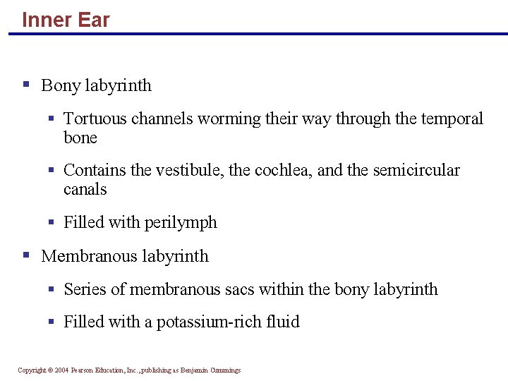 Inner Ear § Bony labyrinth § Tortuous channels worming their way through the temporal