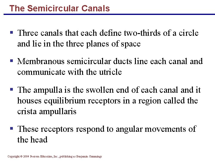 The Semicircular Canals § Three canals that each define two-thirds of a circle and