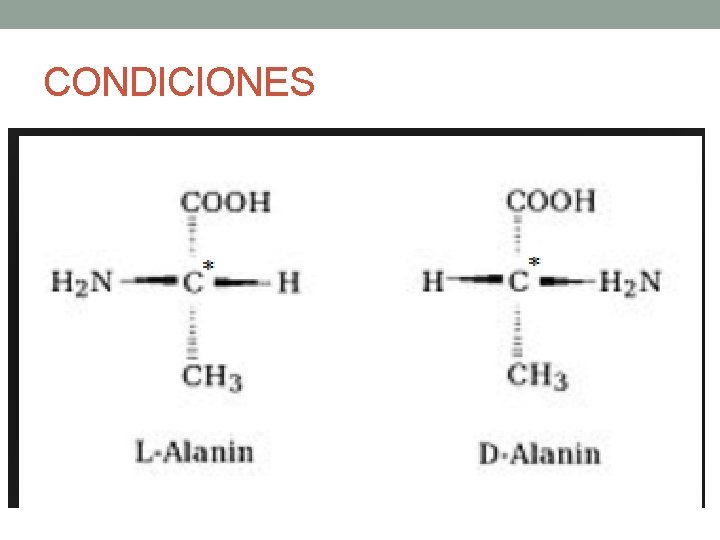 CONDICIONES 