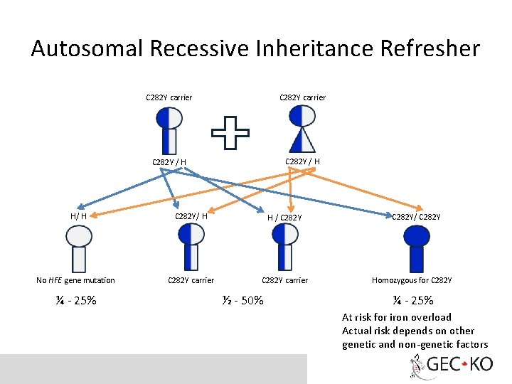 Autosomal Recessive Inheritance Refresher H/ H No HFE gene mutation ¼ - 25% C