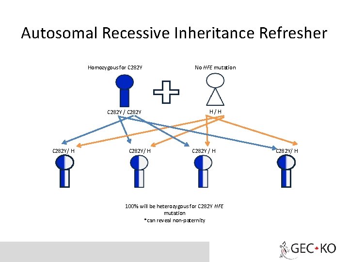 Autosomal Recessive Inheritance Refresher Homozygous for C 282 Y / C 282 Y/ H