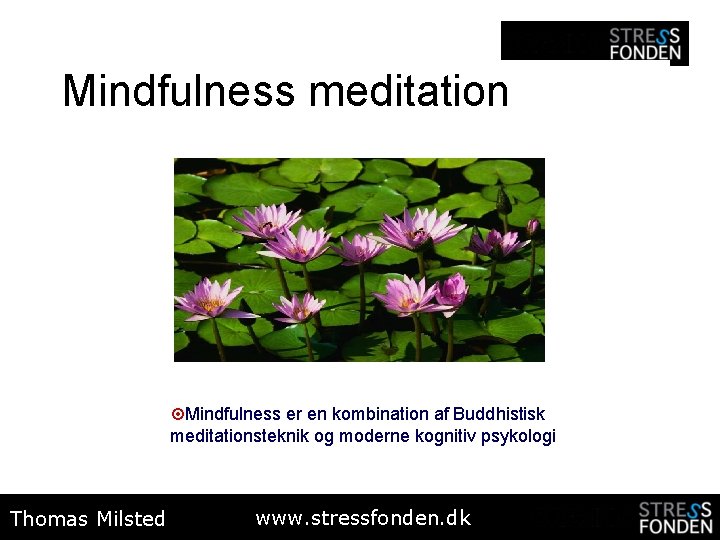Mindfulness meditation ¤ Mindfulness er en kombination af Buddhistisk meditationsteknik og moderne kognitiv psykologi