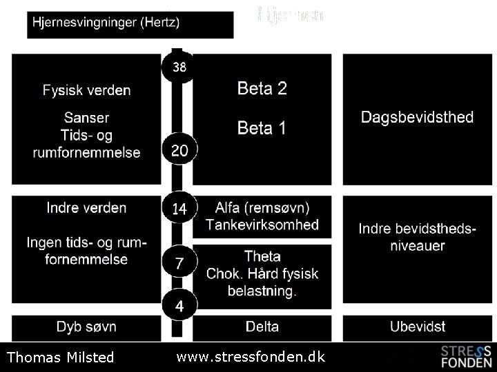 Thomas Milsted www. stressfonden. dk 