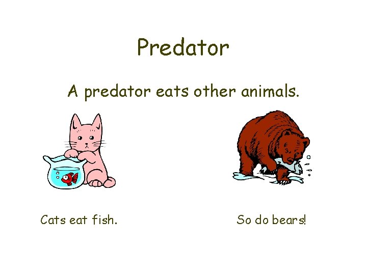 Predator A predator eats other animals. Cats eat fish. So do bears! 