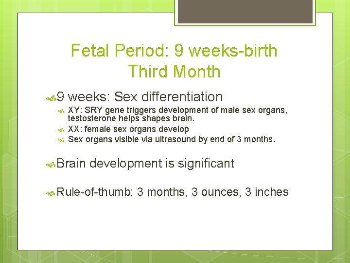 Fetal Period: 9 weeks-birth Third Month 9 weeks: Sex differentiation XY: SRY gene triggers