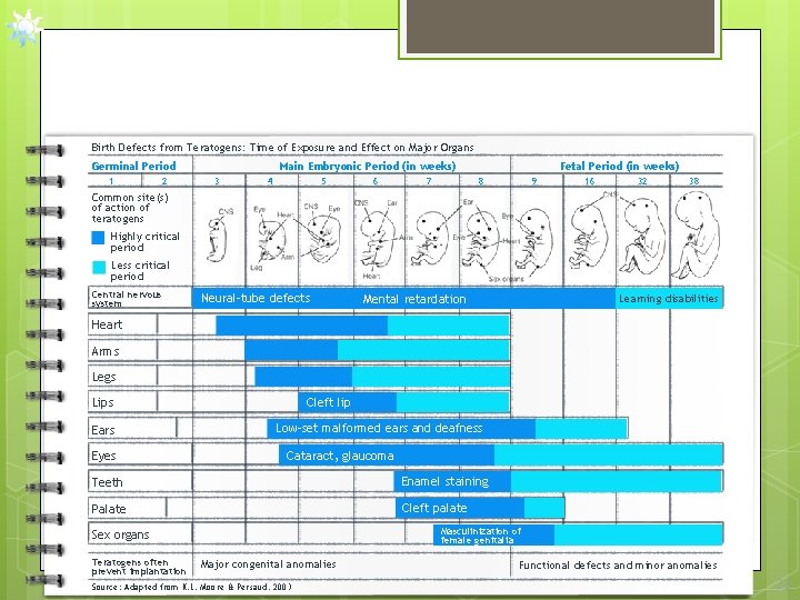 Birth Defects from Teratogens: Time of Exposure and Effect on Major Organs Germinal Period