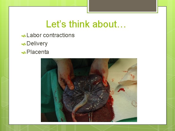 Let’s think about… Labor contractions Delivery Placenta 