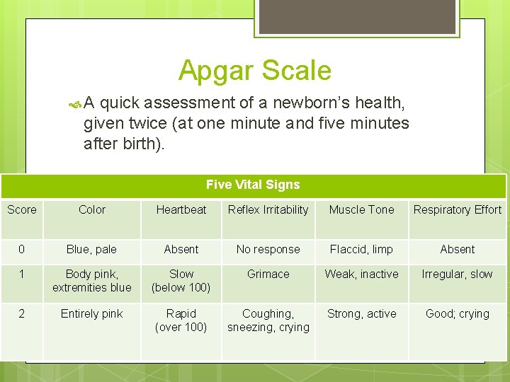 Apgar Scale A quick assessment of a newborn’s health, given twice (at one minute