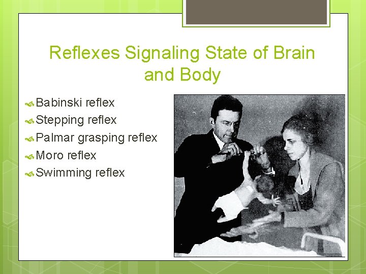 Reflexes Signaling State of Brain and Body Babinski reflex Stepping reflex Palmar grasping reflex