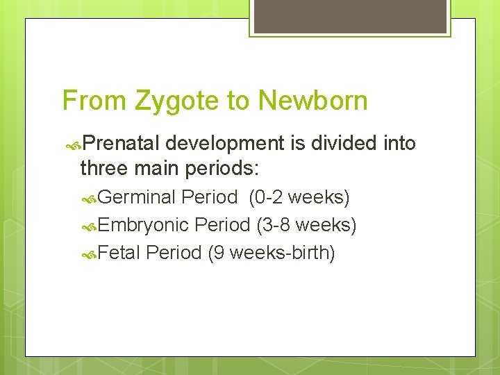 From Zygote to Newborn Prenatal development is divided into three main periods: Germinal Period