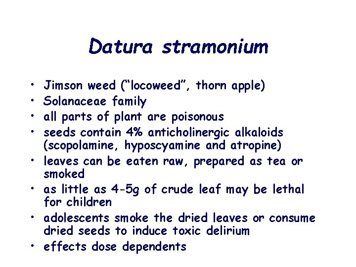 Datura stramonium • • Jimson weed (“locoweed”, thorn apple) Solanaceae family all parts of