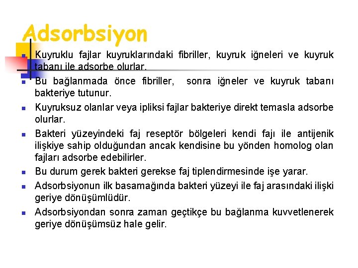 Adsorbsiyon n n n Kuyruklu fajlar kuyruklarındaki fibriller, kuyruk iğneleri ve kuyruk tabanı ile