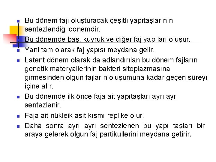 n n n n Bu dönem fajı oluşturacak çeşitli yapıtaşlarının sentezlendiği dönemdir. Bu dönemde