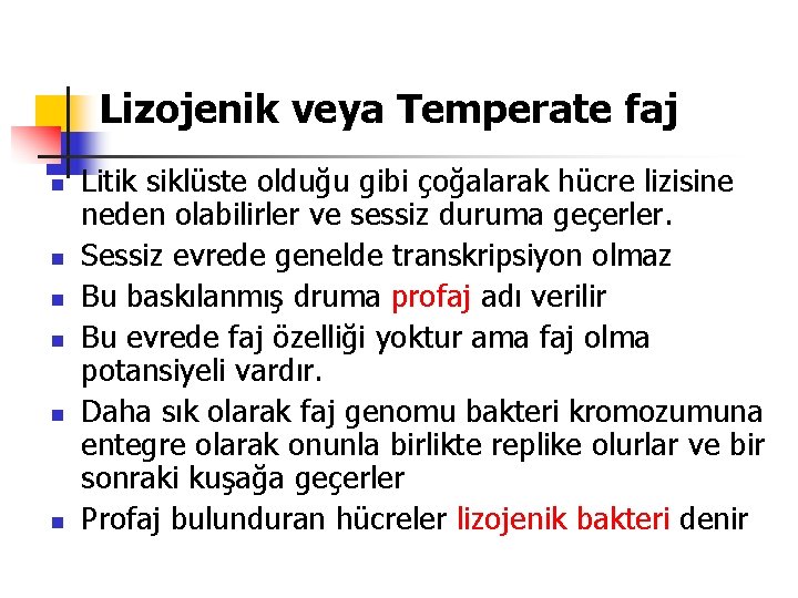 Lizojenik veya Temperate faj n n n Litik siklüste olduğu gibi çoğalarak hücre lizisine