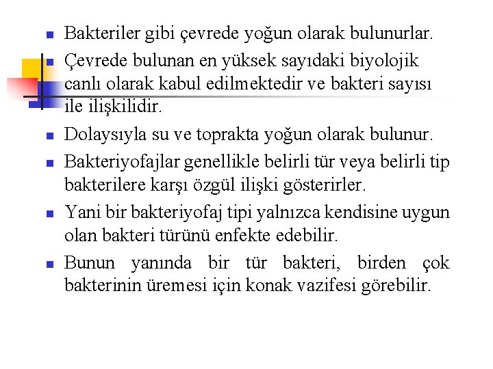 n n n Bakteriler gibi çevrede yoğun olarak bulunurlar. Çevrede bulunan en yüksek sayıdaki