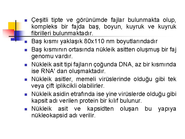 n n n n Çeşitli tipte ve görünümde fajlar bulunmakta olup, kompleks bir fajda