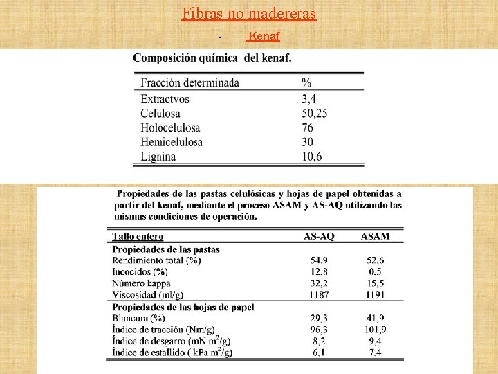 Fibras no madereras - Kenaf 