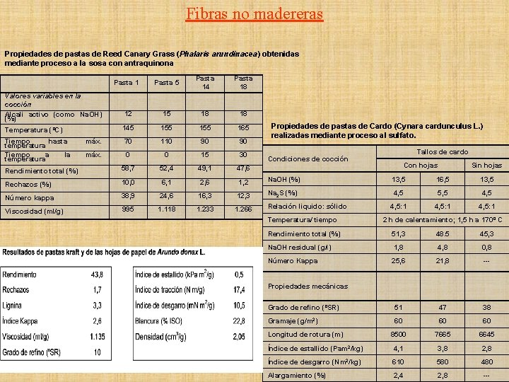 Fibras no madereras Propiedades de pastas de Reed Canary Grass (Phalaris arundinacea) obtenidas mediante