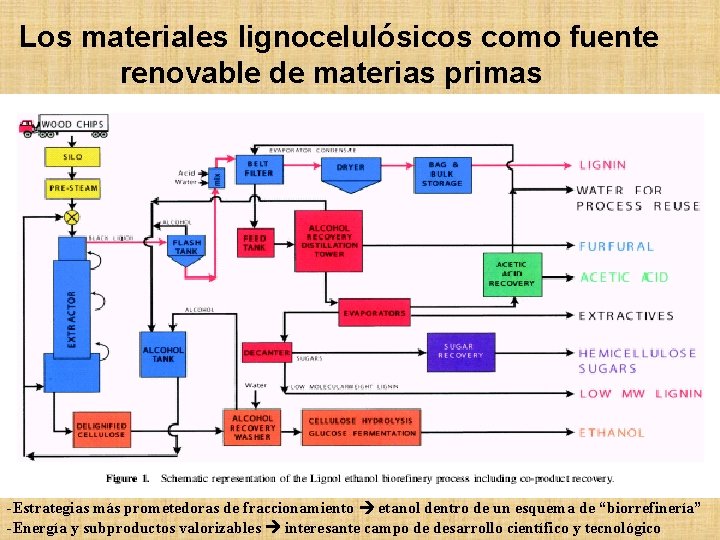 Los materiales lignocelulósicos como fuente renovable de materias primas -Estrategias más prometedoras de fraccionamiento