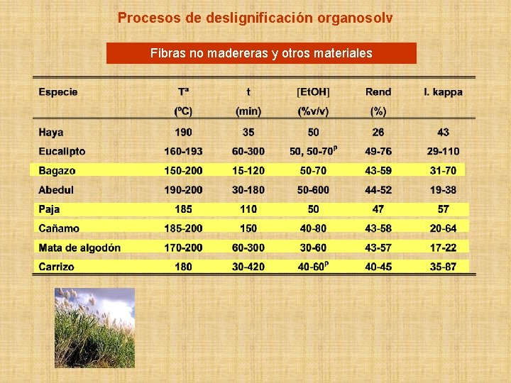 Procesos de deslignificación organosolv Fibras no madereras y otros materiales 