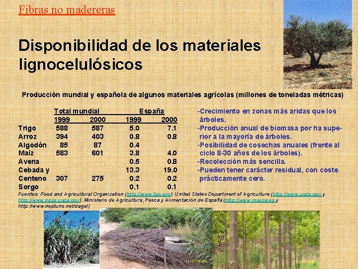 Fibras no madereras Disponibilidad de los materiales lignocelulósicos Producción mundial y española de algunos