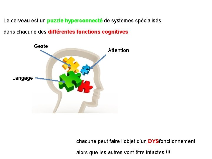  Le cerveau est un puzzle hyperconnecté de systèmes spécialisés dans chacune des différentes