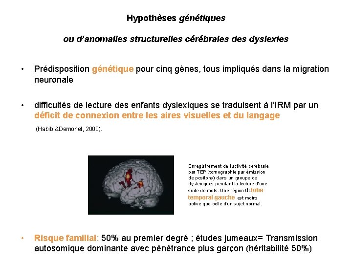 Hypothèses génétiques ou d’anomalies structurelles cérébrales dyslexies • Prédisposition génétique pour cinq gènes, tous