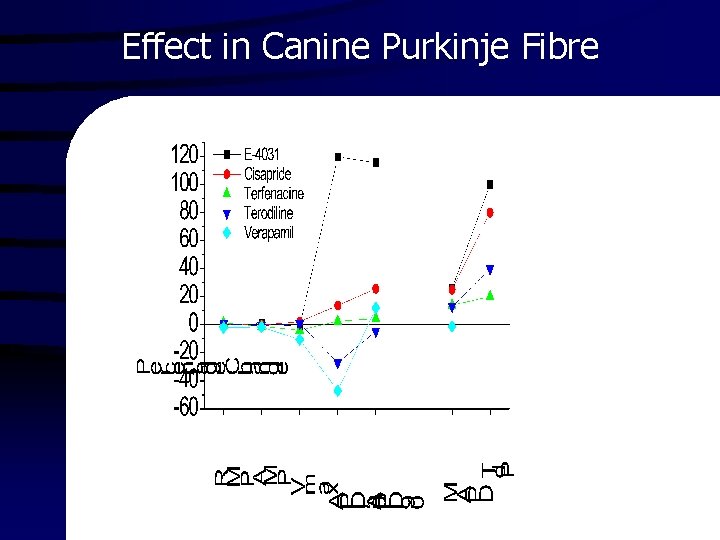Effect in Canine Purkinje Fibre 