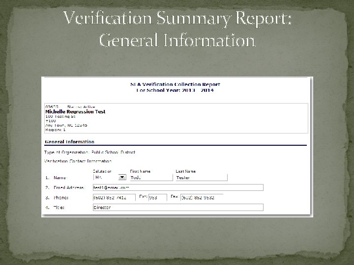 Verification Summary Report: General Information 