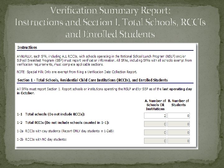Verification Summary Report: Instructions and Section I. Total Schools, RCCIs and Enrolled Students 