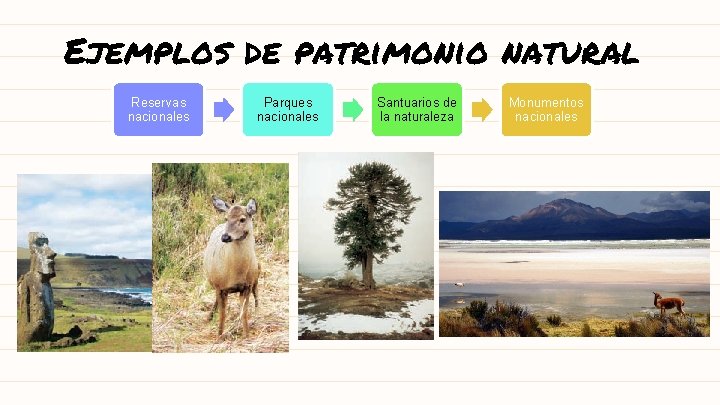 Ejemplos de patrimonio natural Reservas nacionales Parques nacionales Santuarios de la naturaleza Monumentos nacionales