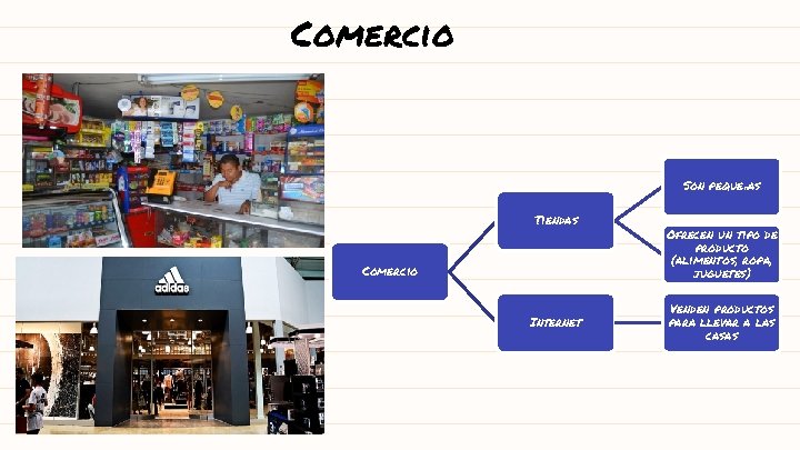 Comercio Son pequeñas Tiendas Comercio Internet Ofrecen un tipo de producto (alimentos, ropa, juguetes)