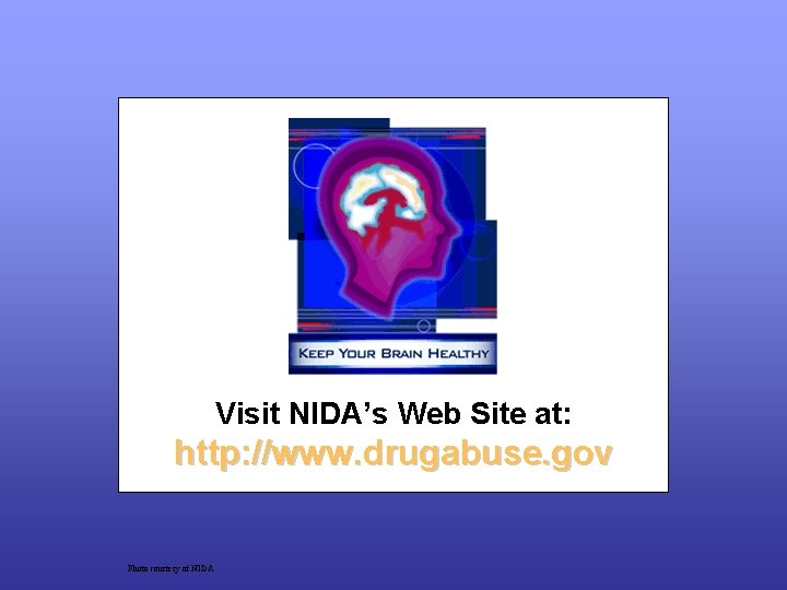 Visit NIDA’s Web Site at: http: //www. drugabuse. gov Photo courtesy of NIDA 