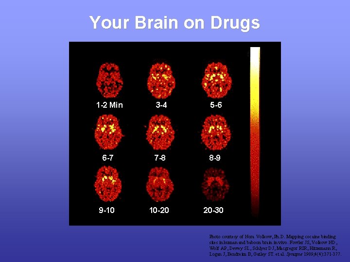 Your Brain on Drugs 1 -2 Min 3 -4 5 -6 6 -7 7