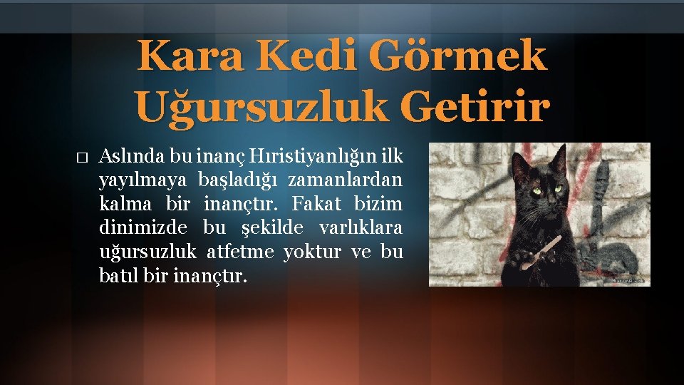 Kara Kedi Görmek Uğursuzluk Getirir � Aslında bu inanç Hıristiyanlığın ilk yayılmaya başladığı zamanlardan