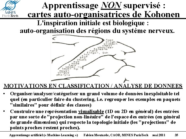 Apprentissage NON supervisé : cartes auto-organisatrices de Kohonen L'inspiration initiale est biologique : auto-organisation